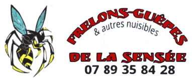 Logo Frélon-Guêpe Sensée