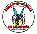 FRELONS GUEPES SENSEE : Anti nuisibles / Extermination de nuisibles à Douai et ses environs Logo